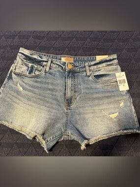 Kut from the Kloth High Rise Jane Short - Blue Denim